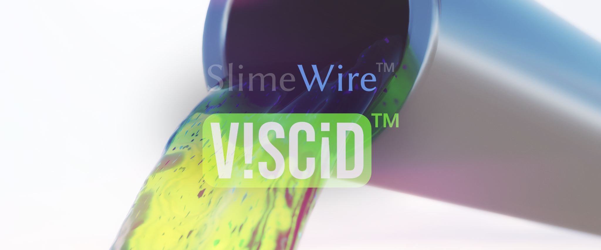 Slime Computing (Invisible Networks 2022)